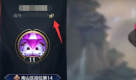 英雄联盟手游好友称号在哪里获得