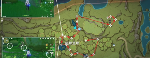 原神帕蒂莎兰采集路线推荐