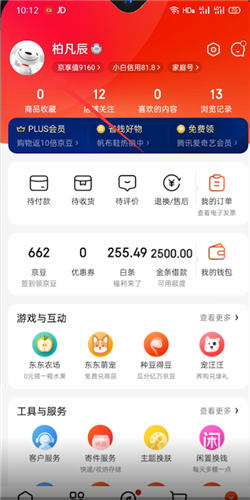 京东消费总额在哪可以查看看