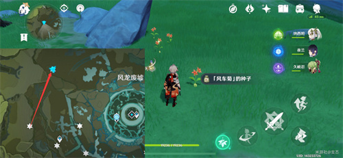 原神风车菊最佳采集路线