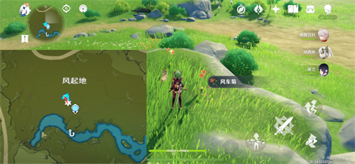 原神风车菊最佳采集路线