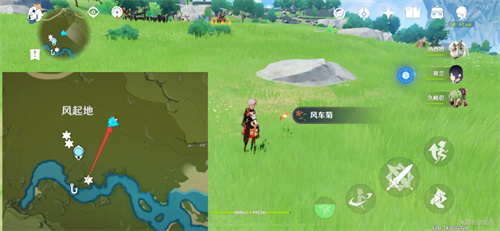 原神风车菊最佳采集路线