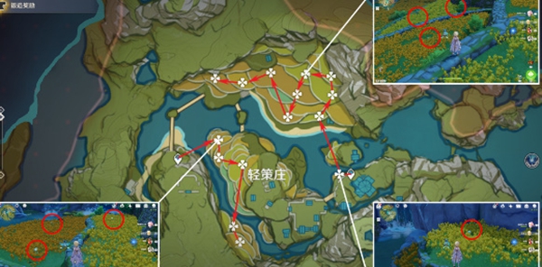 原神琉璃百合最佳采集路线