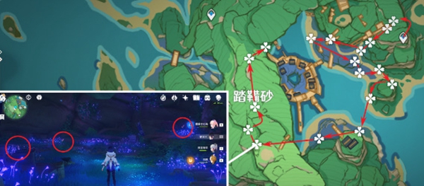 原神鸣草最佳采集路线