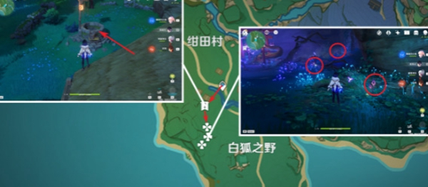 原神鸣草最佳采集路线
